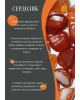 Пламя зари