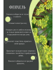Природное слияние